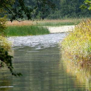 Elina från Bauergårdens brygga
